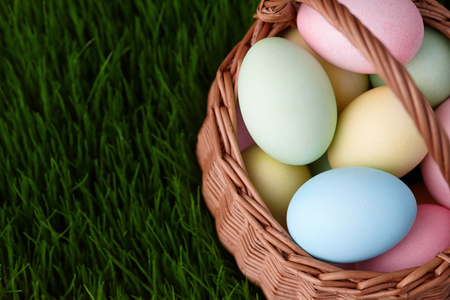 Colorful easter eggs basket in a grass meadowの写真素材