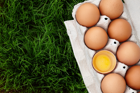 Natural brown eggs box in green grassの写真素材
