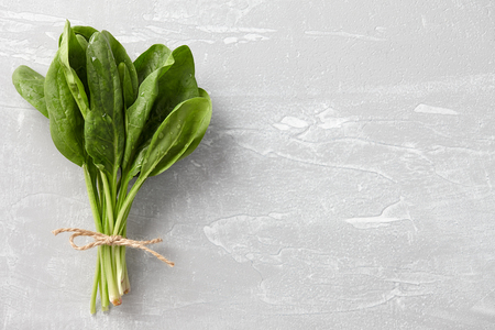 Bunch of fresh spinach leavesの写真素材