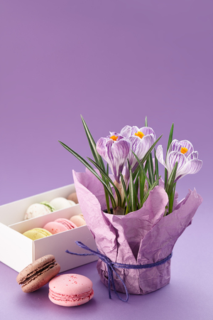 Crocuses pot and box of macaronsの写真素材
