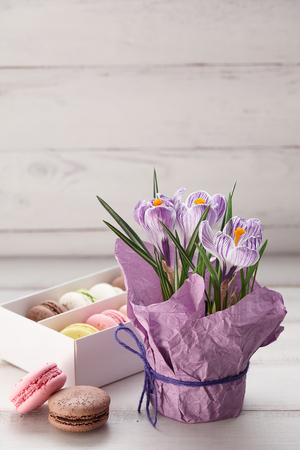 Crocuses pot and box of macaronsの写真素材