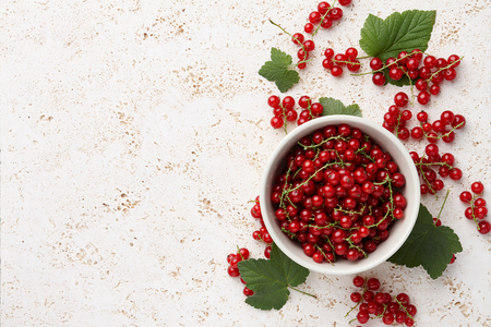 Fresh ripe red currant in a bowl on light stone backgroundの写真素材