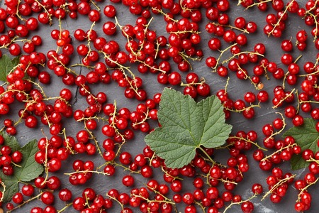 Fresh ripe red currant with leaves on gray stone backgroundの写真素材