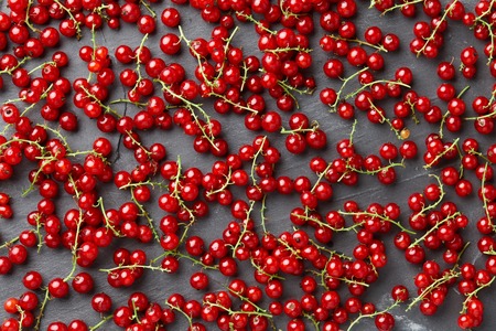 Fresh ripe red currant on gray stone backgroundの写真素材