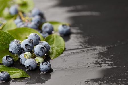 Wet blueberry in drops with leaves close up on stone background, copyspaceの写真素材