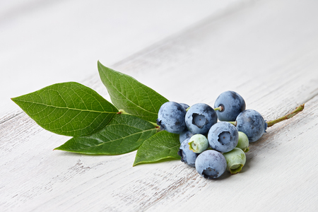 Fresh blueberry branch close up on white wooden backgroundの写真素材