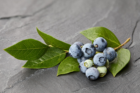 Fresh blueberry branch close up on stone backgroundの写真素材