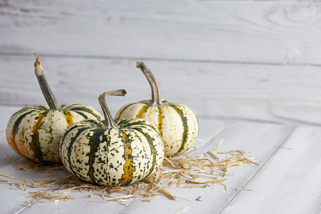 Halloween striped pumpkins on white boardsの写真素材