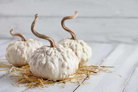 Halloween pumpkins on white planksの写真素材