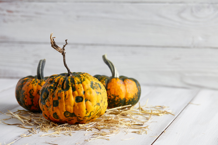 Halloween pumpkins on white planksの写真素材
