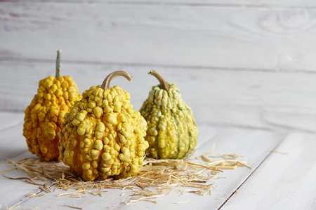 Warty halloween pumpkins on white planksの写真素材