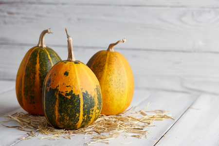 Orange halloween pumpkins on white planksの写真素材