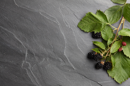 Fresh ripe blackberry branch on textured stone background, top viewの写真素材