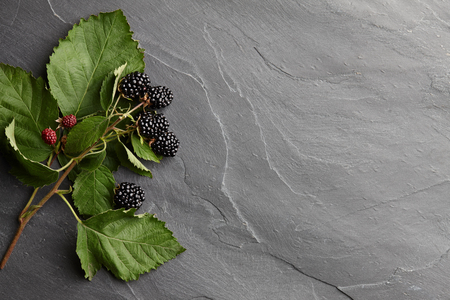 Fresh ripe blackberry branch on textured stone background, top viewの写真素材