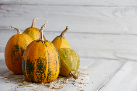 Orange halloween pumpkins on white planks, holiday decorationの写真素材