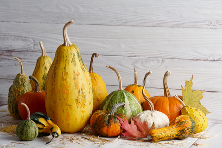 Orange halloween pumpkins on white planks, holiday decorationの写真素材