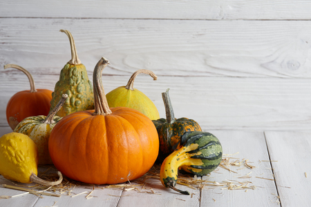 Orange halloween pumpkins on white planks, holiday decorationの写真素材