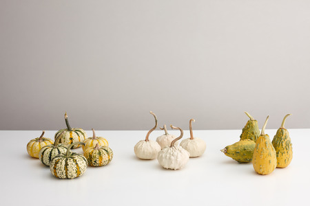 Various ornamental pumpkins for halloween on white table, copyspaceの写真素材