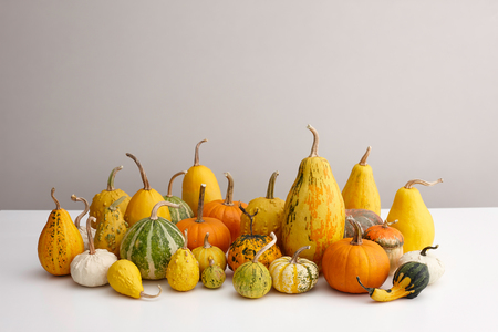 Various ornamental pumpkins for halloween on white table, copyspaceの写真素材
