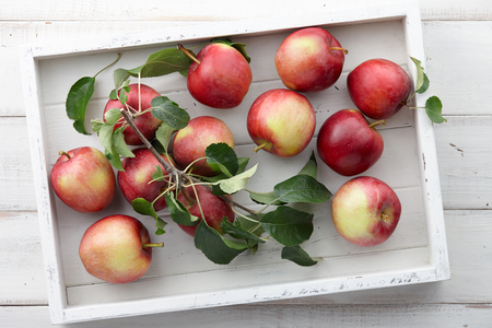 White wooden tray with fresh red apples, autumn harvestの写真素材