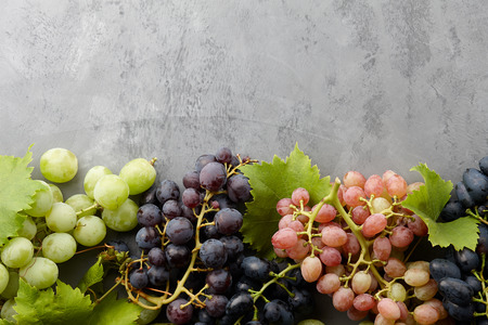 Various grape crops on gray stone background, autumn harvestingの写真素材