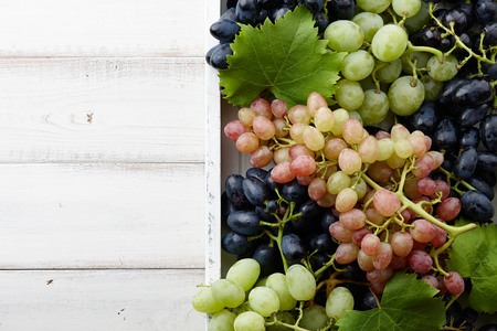 Various grapes with leaves in white wooden tray, autumn harvestingの写真素材