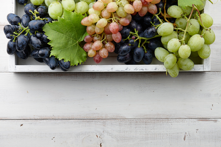 Various grapes with leaves in white wooden tray, autumn harvestingの写真素材