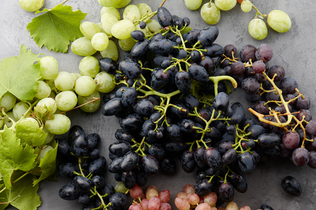 Various grape crops on gray stone background, autumn harvestingの写真素材