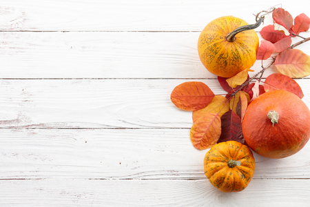 Background of colorful autumn pumpkins and leaves, fall season conceptの写真素材
