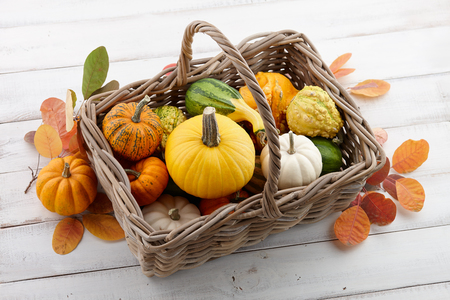 Wicker basket with colorful pumpkins and gourds for Halloween and Thanksgiving, holiday decorationの写真素材