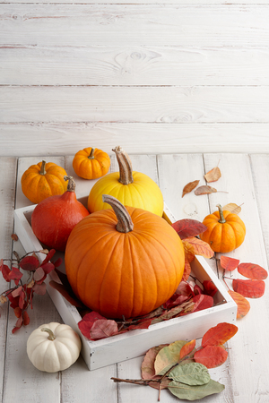 Autumn pumpkins and colorful leaves decorations for Halloween and Thanksgiving holidaysの写真素材