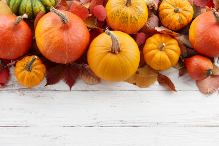 Background of colorful autumn pumpkins and leaves, fall season conceptの写真素材