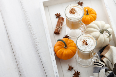 Fall pumpkin spice latte with whipped cream and cinnamon, ornamental pumpkins and warm woolen scarf on white wooden background, copyspaceの写真素材