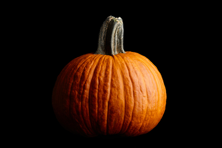 Big orange pumpkin on black background, Halloween celebrationの写真素材