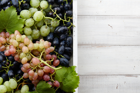 Various grapes with leaves in white wooden tray, autumn harvestingの写真素材