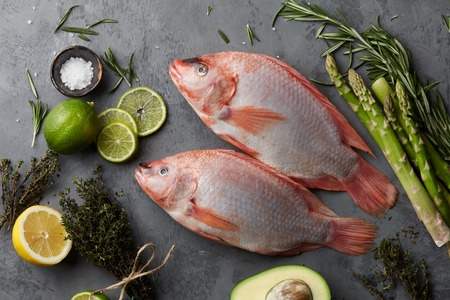 Raw red tilapia fish cookingの写真素材