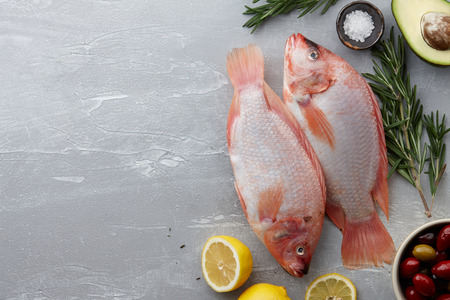 Raw red tilapia fish cookingの写真素材