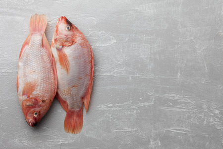 Two raw red tilapia fish on gray background