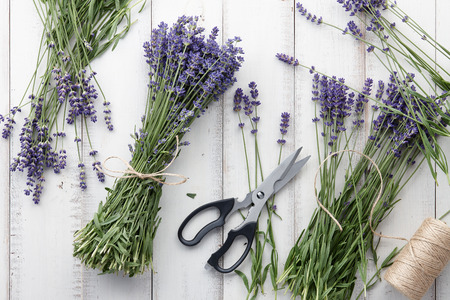 Composing and binding beautiful lavender flowers bouquet on white wooden planks background, top viewの写真素材