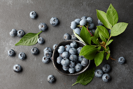Fresh blueberries branch on black stone backgroundの写真素材