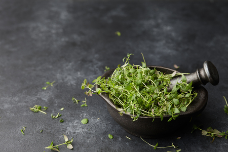 Fresh green thyme herb in mortar, close up viewの写真素材