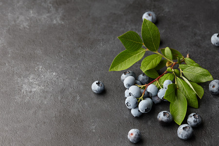 Fresh blueberries with leaves on branch. Black stone background, top view.の写真素材