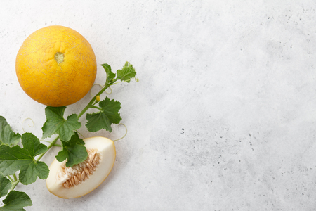 Fresh yelllow melon and flowering vine on white textured background, summer harvestの写真素材