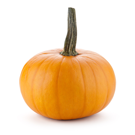Perfect shape orange pumpkin for Halloween celebration isolated on whiteの写真素材