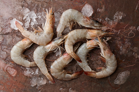 Raw tiger prawns on wet reddish stone background, top viewの写真素材