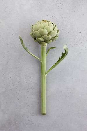 Fresh green artichoke with stem and leaves on concrete background, top viewの写真素材