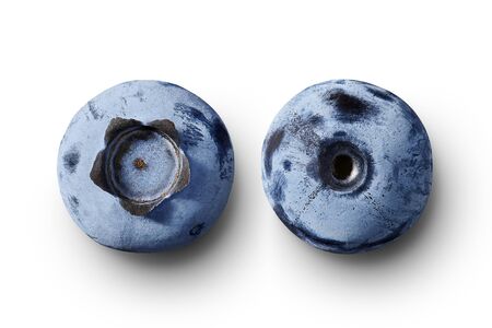 Fresh blueberries isolated on white background, natural look. Front and back side, top view with shadow.の写真素材