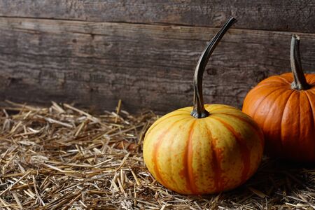 Beautiful Halloween pumpkins in dark old barn, copy spaceの写真素材