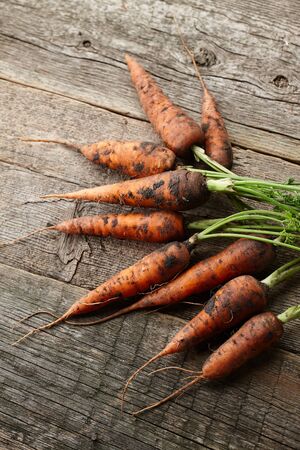 Fresh unwashed carrots with greens on old wooden planksの写真素材