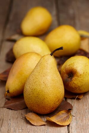 Yellow pears with autumn leaves on wooden table, close up viewの写真素材